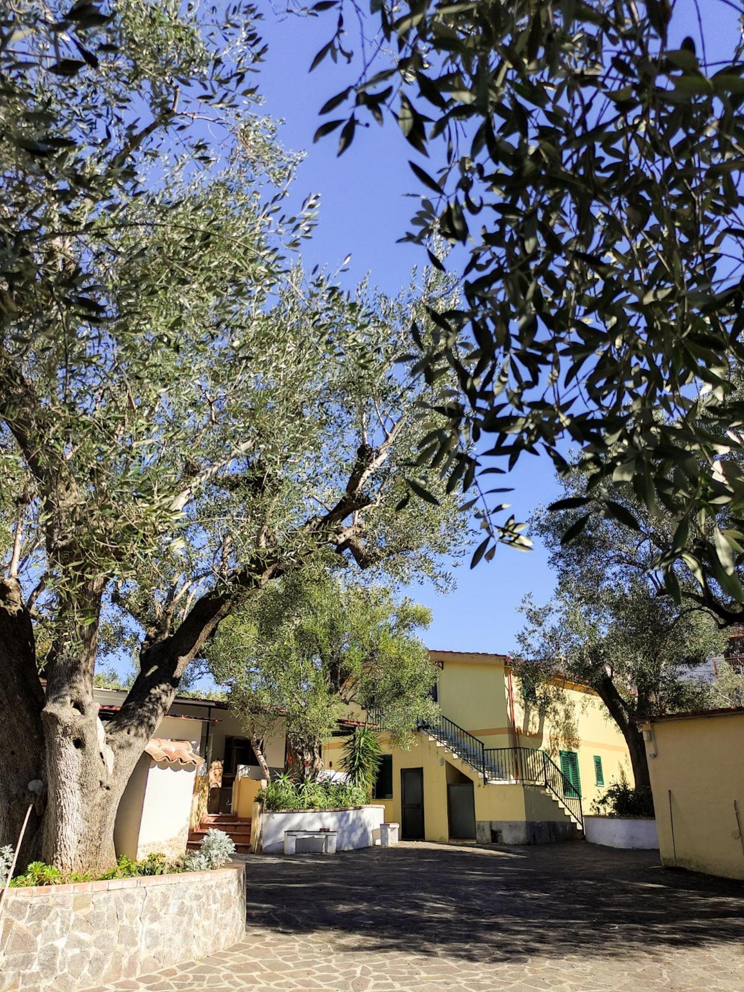 Case Vacanza Da Domingo Marina di Camerota Exterior foto